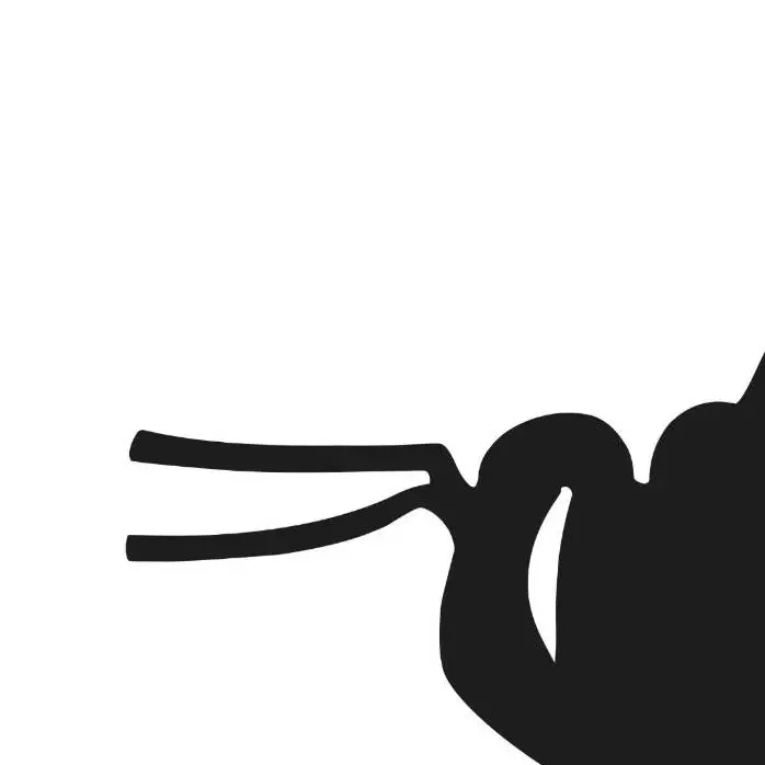 273575413_276197381291684_6317238815742290256_n