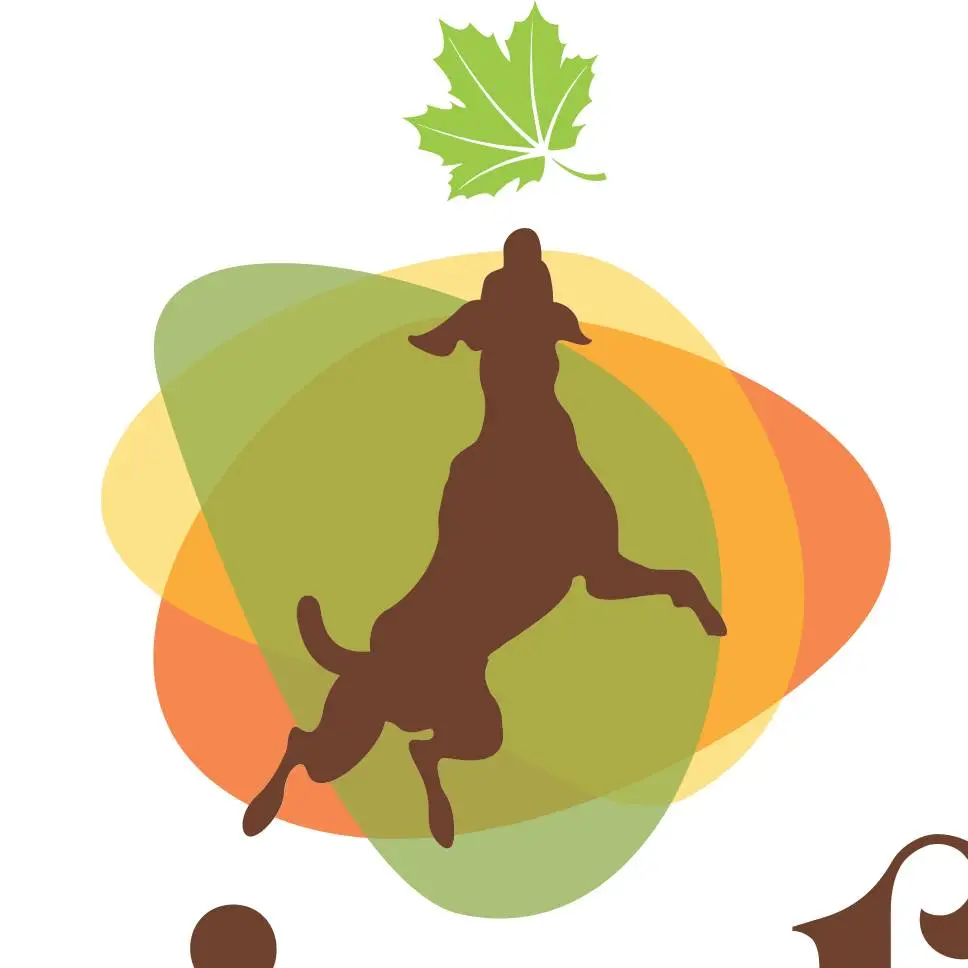 279245114_103981108977648_2543918601703965459_n